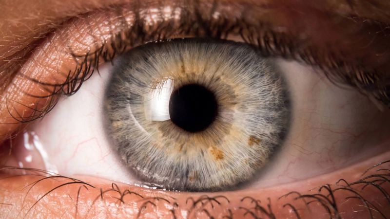 لنز مناسب برای افرادی که دچار خشکی چشم هستند! | لنز و عینک لوناتو
