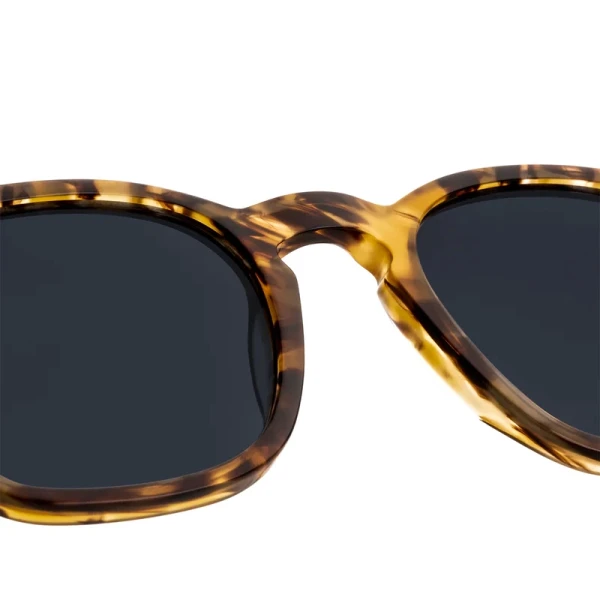 عینک آفتابی دی فرانکلین مدل D.franklin 998 / TRANS CAREY – BLACK